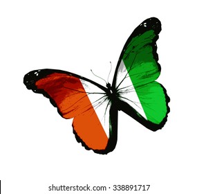 Cote d'Ivoire flag butterfly - vector