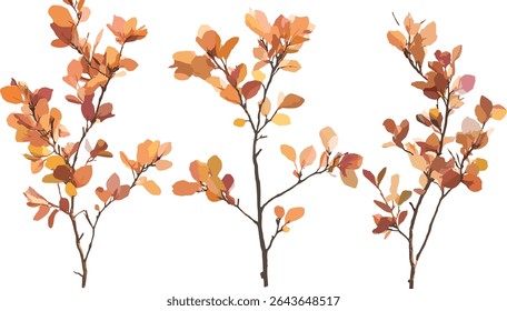 Cotinus Grace smoke bush and Stewartia sinensis tree, summer autumn foliage, isolated cutout, vector illustration, ornamental trees, botanical garden, seasonal landscaping.