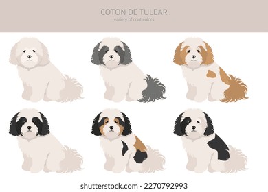 Coton de Tulear clipart. Different poses, coat colors set.  Vector illustration