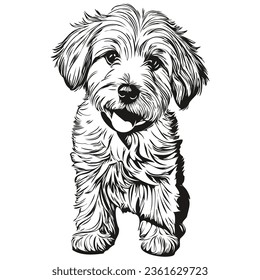 Coton de Tulear dog black drawing vector, isolated face painting sketch line illustration ready t shirt print