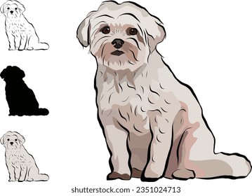 Coton de Tulear Dog Breed. Sitting pose, detailed drawn dog. Cute front view pet. Logo design, dog silhouette, outlines, dog stroke. Pet character postcard art. Funny pet mascot. Shape of the coton.