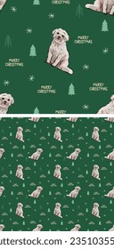 Coton de Tulear Dog Breed Seamless pattern, holiday texture. Square format packaging with Christmas trees, snowflakes, greeting text, decoration, wrapping paper. Pet fabric, winter decoration.