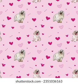 Coton de Tulear Dog Breed. Dogs with Valentine's day pink hearts background. Love doodles hearts with pets, holiday texture. Square background, repeatable pattern. St Valentine's day decoration.