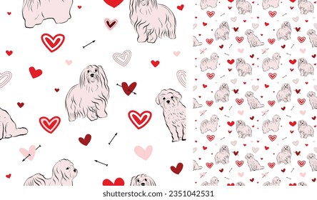 Coton de Tulear Dog Breed. Valentine's day pattern with dogs and hearts on a white background. Love doodles hearts with pets holiday texture. Square background, repeatable pattern. St Valentine.