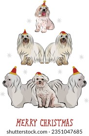 Coton de Tulear Dog Breed. Dogs wearing winter hats. Cute detailed illustration of dogs. Abstract Christmas tree poster. Merry Christmas greeting card with the cute funny sitting and standing dogs.