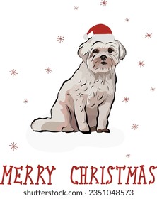 Coton de Tulear Dog Breed. Hand drawn illustration winter card. Cute dog character in a sitting pose. Holiday Design for printing, adorable and cute Christmas dog cartoon vector greeting card. 