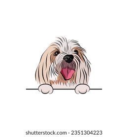 Coton de Tulear Dog Breed. Funny terrier with paws in a pocket, vector illustration. Cute dog head with paws on a white background, isolated logo.Hand-drawn mascot. Funny dog muzzle looking over wall.