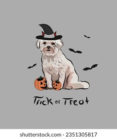 Coton de Tulear Dog Breed. Halloween greeting card with a sitting dog and pumpkin, art. Dog in a costume and pumpkins in paws. Postcard for pet lovers. Pet character postcard art. Funny dog mascot. 