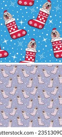 Coton de Tulear Dog Breed Christmas pattern. Dog head in stockings, seamless pattern. Repeatable textile, wrapping paper, blue background, violet color. Winter wallpaper with snowflakes and stockings