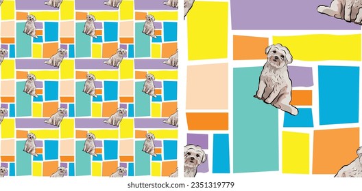 Coton de Tulear Dog Breed. Summer bright wallpaper. Abstract shapes, square seamless mosaic and dogs, repeatable pattern. Birthday wallpaper, Christmas kid present, print holiday tiles.