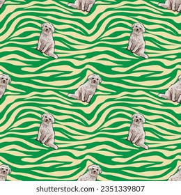 Coton de Tulear Dog Breed. Elegant, soft seamless background, abstract background with dog detailed icons for Dog Lovers. Green zebra. Birthday present wrapping paper with lines. Sitting dogs pattern.