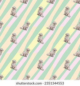 Coton de Tulear Dog Breed dogs on a holiday texture with oblique lines. Multi-colored repeatable packaging, birthday wrapping paper. Trendy hand-drawn dog wallpaper. Bright geometric paint.Pink, green
