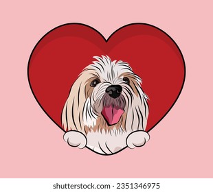 Coton de Tulear Dog Breed and paws  Valentine's Day postcard  Big heart and pet head looking out from heart  holiday present  Cartoon square red background and dog art  St Valentine's day card 