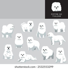 Conjunto de Variação de Cor da Ilustração do Vetor do Desenho Animado de Cão de Algodão de Tulear