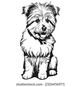 Coton de Tulear dog hand drawn logo drawing black and white line art pets illustration realistic pet silhouette