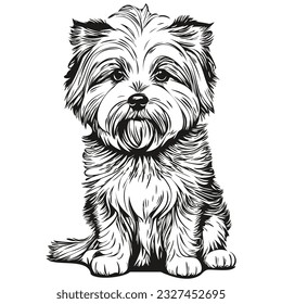 Coton de Tulear dog head line drawing vector,hand drawn illustration with transparent background