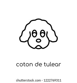 Coton De Tulear dog icon. Trendy modern flat linear vector Coton De Tulear dog icon on white background from thin line dogs collection, editable outline stroke vector illustration