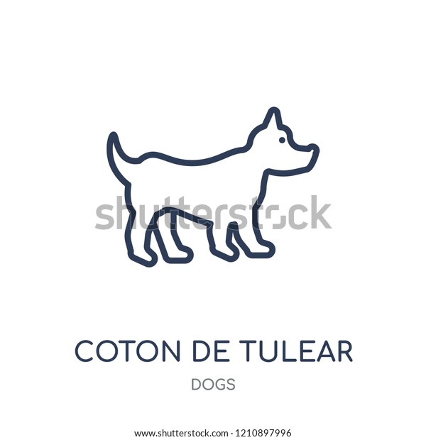 image vectorielle de stock de coton de tulear dog icon coton 1210897996 https www shutterstock com fr image vector coton de tulear dog icon linear 1210897996