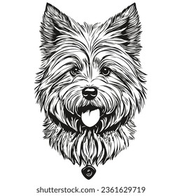 Coton de Tulear dog isolated drawing on white background, head pet line illustration