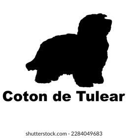 coton de tulear Dog silhouette vector. Dog breeds