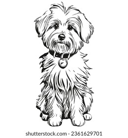 Coton de Tulear dog silhouette pet character, clip art vector pets drawing black and white realistic pet silhouette