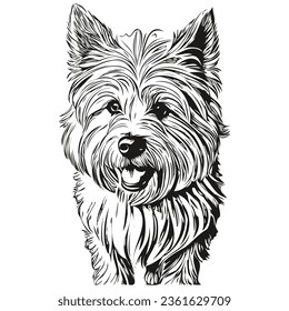 Coton de Tulear dog silhouette pet character, clip art vector pets drawing black and white realistic breed pet