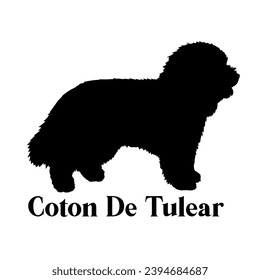 Coton De Tulear Dog silhouette dog breeds logo dog monogram logo dog face vector