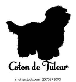 Coton de Tulear. dog silhouette, dog breeds, logo, vector, silhouette,  animal, illustration, icon, sign, design, black, symbol, pet, love
