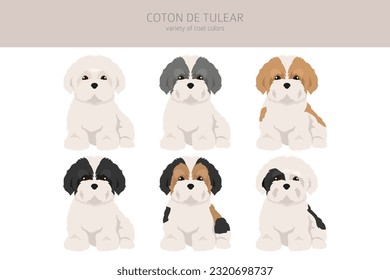 Coton de Tulear puppies clipart. Different poses, coat colors set.  Vector illustration