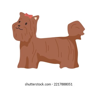 Coton de Tulear, puppy breed of canine animals, isolated dog life. Portrait of cute domestic pet with bow decoration on hairy coat. Vector in flat style