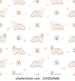 Coton de Tulear seamless pattern. Different poses, coat colors set.  Vector illustration