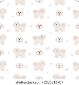 Coton de Tulear seamless pattern. Different poses, coat colors set.  Vector illustration