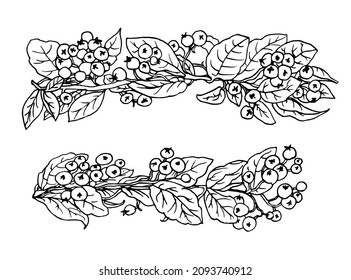 Cotoneaster berries with leaves in garland border and wreath. Isolated vector botanical illustration: retro vintage, hand drawn, black and white, outline. For Christmas invitation, print card, tattoo.