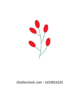 The cotoneaster bush with red barriers and green leaves. Christmas tree, branch isolated on white background. Could be used for holidays decorations, postcard, banners, flyers, etc.