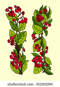 Cotoneaster red berries green leaves in garland border isolated on pale background. Christmas hand drawn watercolor botanical illustration for greeting cards, gifts, printings