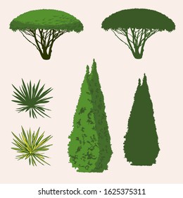 Cotoneaster, yucca  and the cypress tree for landscape design silhouette. Vector