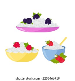 Cottage cheese with berries. Delicious, healthy food. Vector set in the flat style.