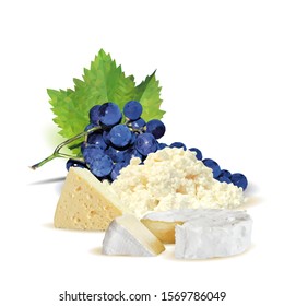 Cottage, dutch cheese, brie, grapes with green parsley and dill low poly. Fennel and parsley vector illustration. Cheese with grapes and green plant in triangulation technique.
