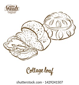 Cottage loaf bread vector drawing. Food sketch of Yeast bread, usually known in United Kingdom. Bakery illustration series.