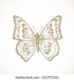 Cottagecore style butterfly. Hand Drawn Sketch Vector Illustration. Countryside Recreation and Picnic insect Doodle Item. Isolated