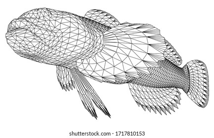 Cottidae Fish Polygonal Lines Illustration. Abstract Vector Fish On The White Background