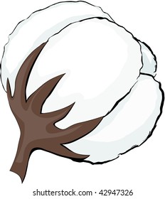 Cotton.