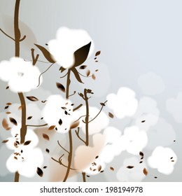 COTTON / Background with fluffy flowers 