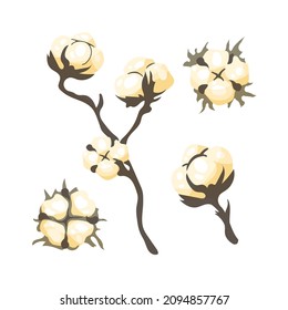 Cotton bolls and branches. Set of botanical floral decorations