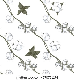 Cotton. Botanical illustrations. Seamless pattern. Vector illustration