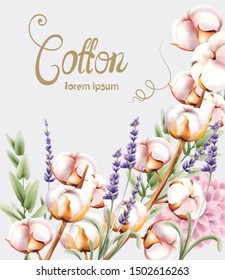 Cotton bouquet card vector watercolor. Isolated background. Provence flowers banner