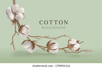 Cotton bouquet of twigs and cotton flowers at the top of banner. Photorealistic  delicate fluffy buds with shadow. Flowers composition. Vector illustration