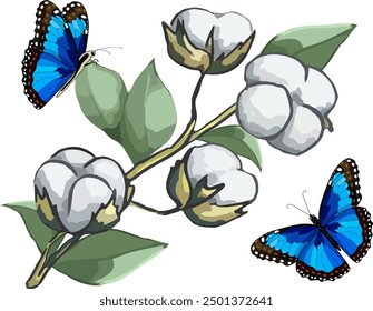 Cotton branch and butterflies.Vector illustration with blue butterflies and cotton branch on transparent background.