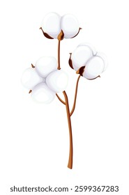 Cotton branch in cartoon style. Vector illustration of a branch with cotton flowers isolated on white background. Textile industry. Fiber textile. Logo. Banner. Dried flowers.