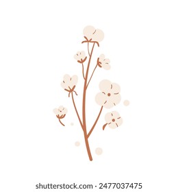 Cotton branch and flowers isolated on white background. Ripe cotton bolls. Purity, innocence, and new beginnings symbol. Vector hand drawn flat illustration